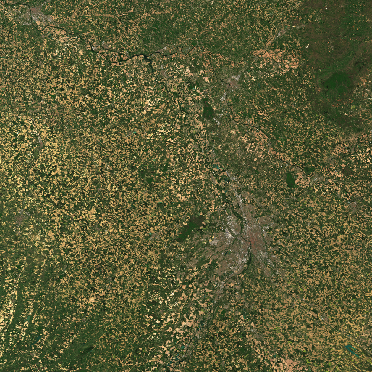 Visualisation QGIS de ESA World Cover